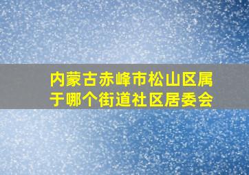 内蒙古赤峰市松山区属于哪个街道社区居委会