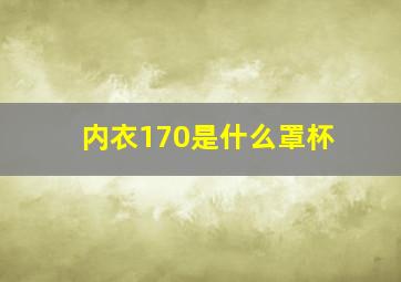 内衣170是什么罩杯