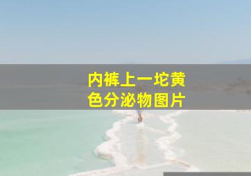 内裤上一坨黄色分泌物图片