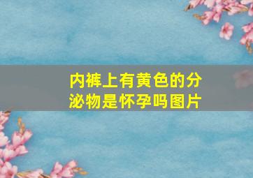 内裤上有黄色的分泌物是怀孕吗图片