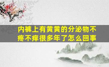 内裤上有黄黄的分泌物不疼不痒很多年了怎么回事