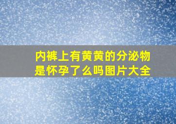 内裤上有黄黄的分泌物是怀孕了么吗图片大全