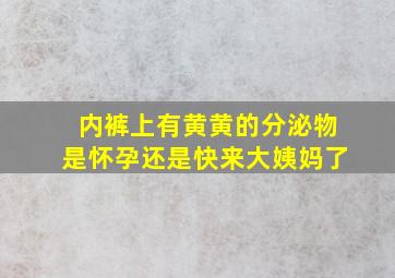 内裤上有黄黄的分泌物是怀孕还是快来大姨妈了