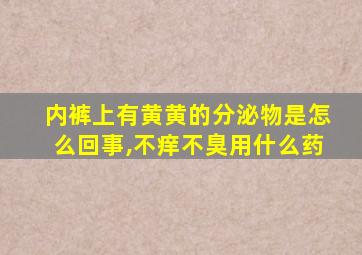 内裤上有黄黄的分泌物是怎么回事,不痒不臭用什么药