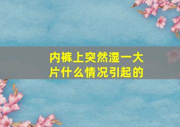 内裤上突然湿一大片什么情况引起的