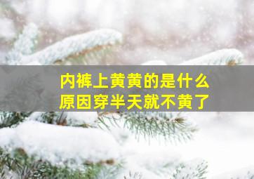 内裤上黄黄的是什么原因穿半天就不黄了