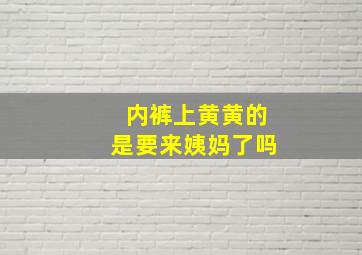 内裤上黄黄的是要来姨妈了吗