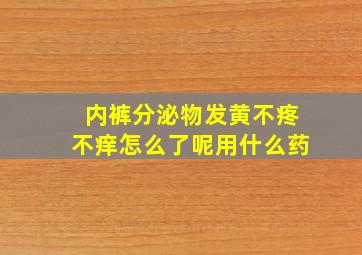 内裤分泌物发黄不疼不痒怎么了呢用什么药