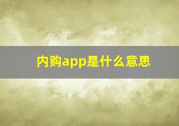 内购app是什么意思