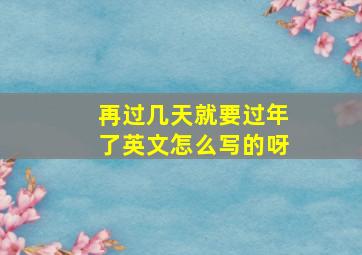 再过几天就要过年了英文怎么写的呀