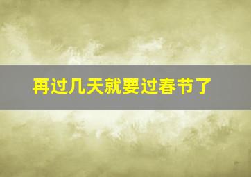 再过几天就要过春节了