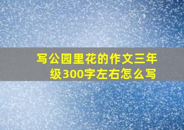 写公园里花的作文三年级300字左右怎么写