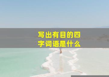 写出有目的四字词语是什么