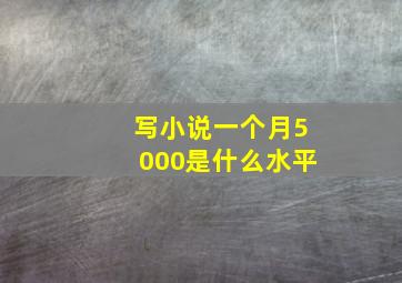 写小说一个月5000是什么水平