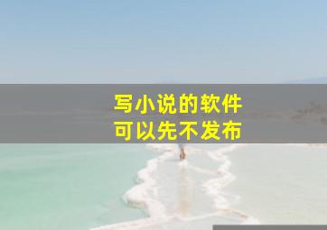 写小说的软件可以先不发布