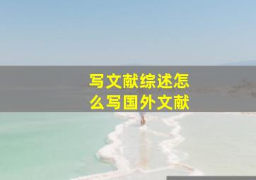 写文献综述怎么写国外文献