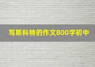 写斯科特的作文800字初中