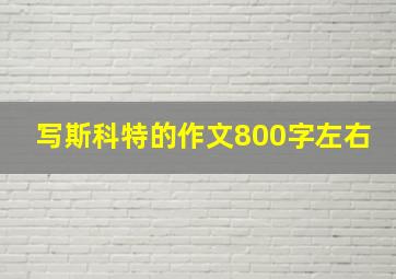 写斯科特的作文800字左右