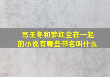 写王冬和梦红尘在一起的小说有哪些书名叫什么