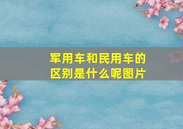 军用车和民用车的区别是什么呢图片