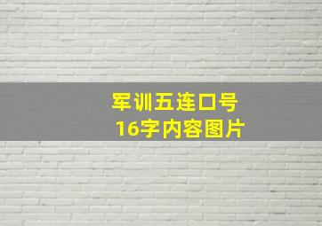 军训五连口号16字内容图片