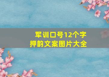 军训口号12个字押韵文案图片大全