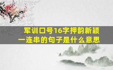 军训口号16字押韵新颖一连串的句子是什么意思