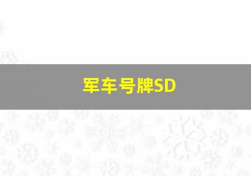 军车号牌SD