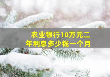 农业银行10万元二年利息多少钱一个月