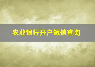 农业银行开户短信查询