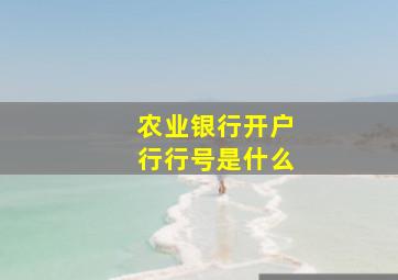 农业银行开户行行号是什么