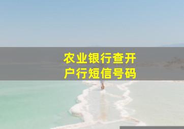 农业银行查开户行短信号码