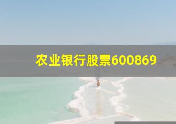 农业银行股票600869