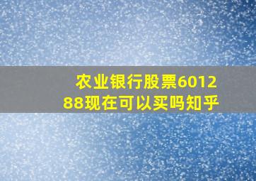 农业银行股票601288现在可以买吗知乎