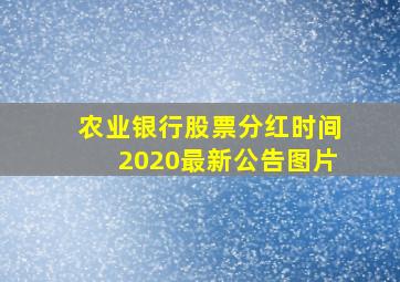 农业银行股票分红时间2020最新公告图片