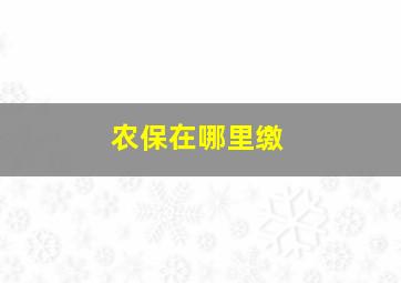 农保在哪里缴