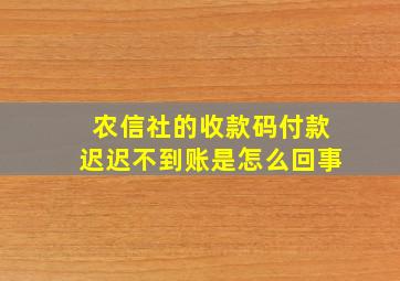 农信社的收款码付款迟迟不到账是怎么回事