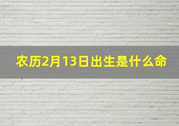 农历2月13日出生是什么命