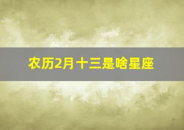 农历2月十三是啥星座