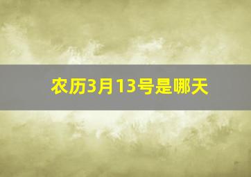 农历3月13号是哪天