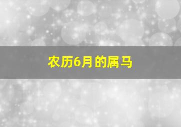 农历6月的属马