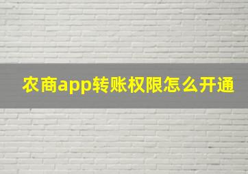 农商app转账权限怎么开通