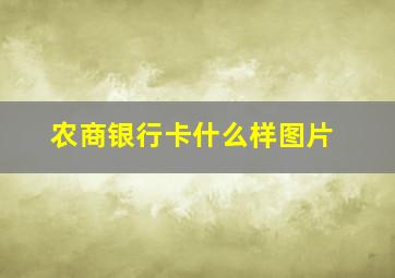 农商银行卡什么样图片