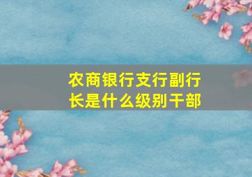 农商银行支行副行长是什么级别干部