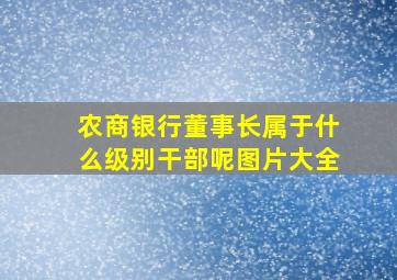 农商银行董事长属于什么级别干部呢图片大全