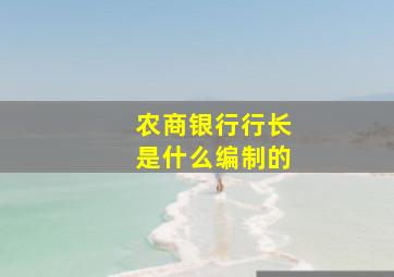 农商银行行长是什么编制的