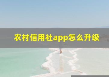 农村信用社app怎么升级