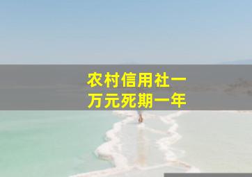 农村信用社一万元死期一年