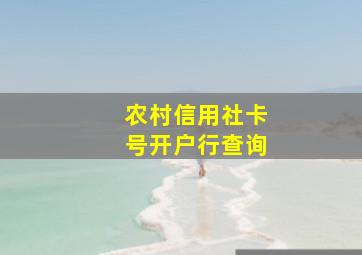 农村信用社卡号开户行查询