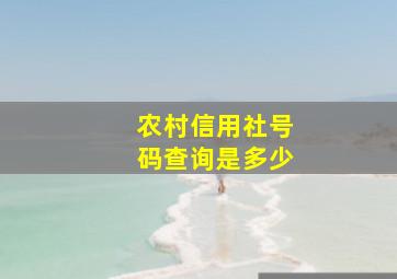 农村信用社号码查询是多少